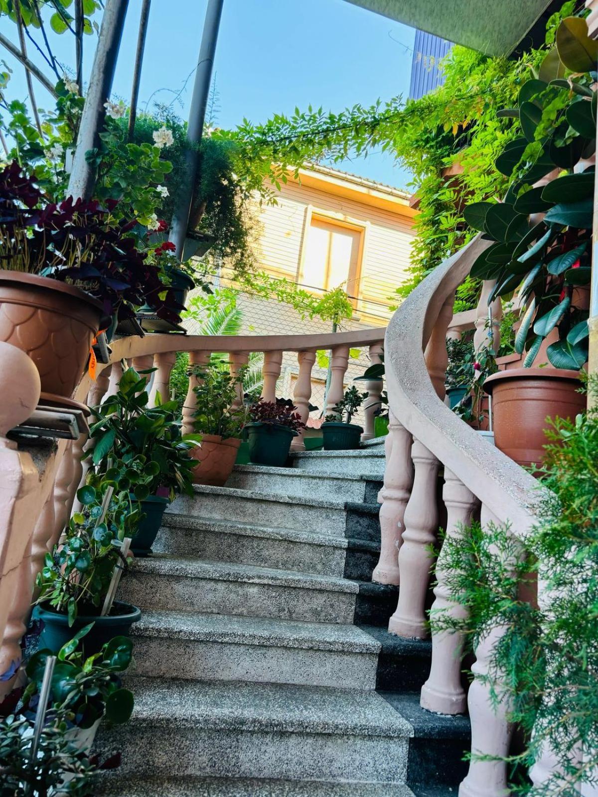 Nikas Guest House Batumi Exterior foto